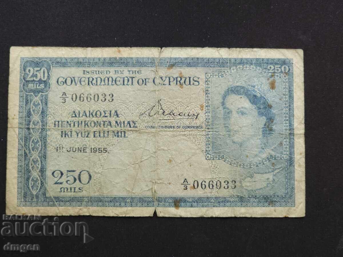 250 милс Кипър 1955