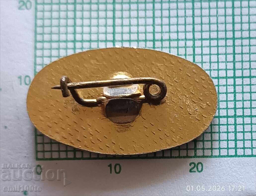 Livrarea Insigna - Fabrica de anvelope auto ZAG