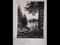 Снимка пощенска картичка Смолян 1960 г  Езерото