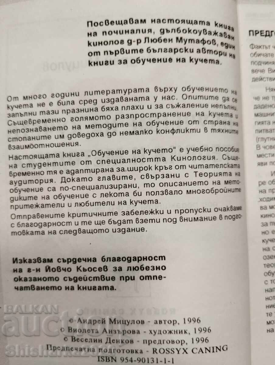 Παράδοση Εκπαίδευση σκύλου - Andrey Mitsulov