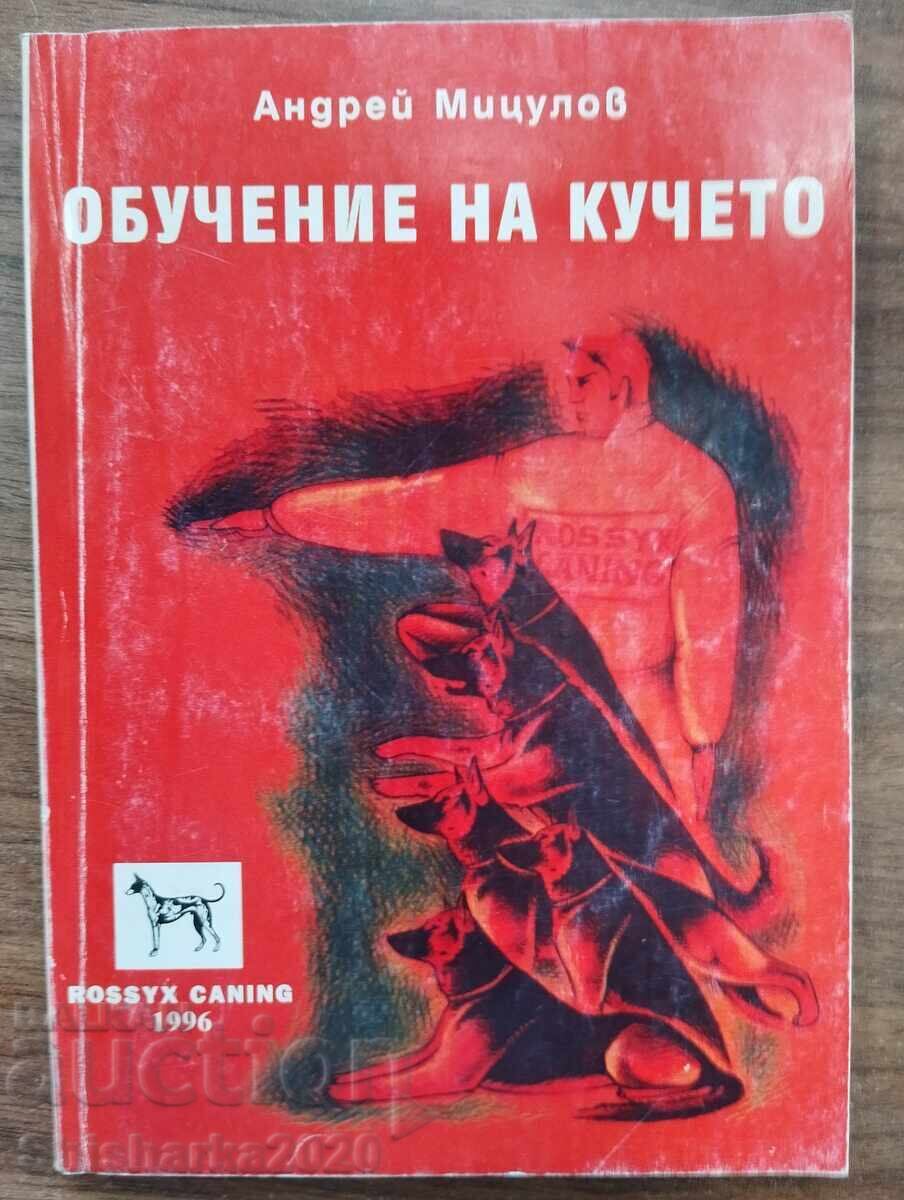 Εκπαίδευση σκύλου - Andrey Mitsulov