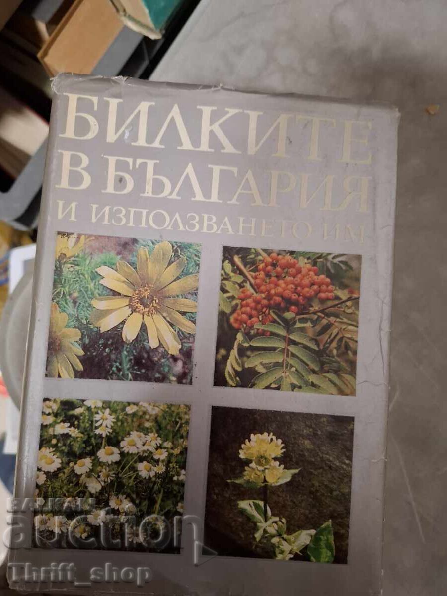 Βότανα στη Βουλγαρία και η χρήση τους