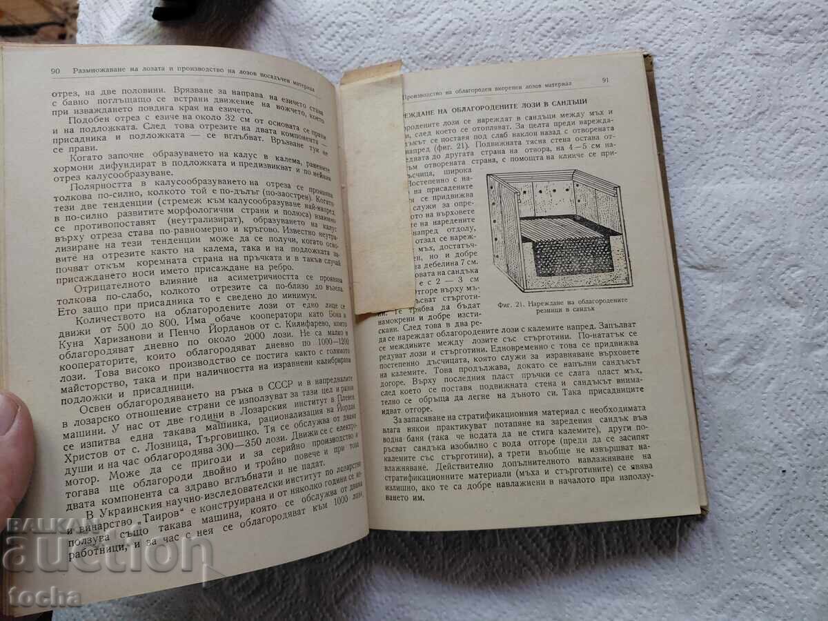 Livrarea Viticultură, lotul unu
