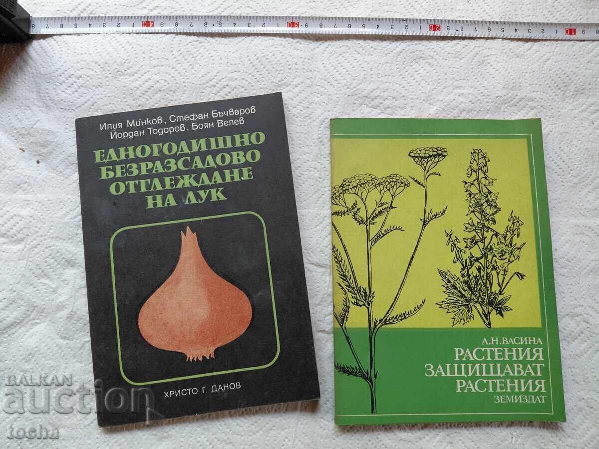 Pomicultură, lotul unu Pomicultură, lotul unu