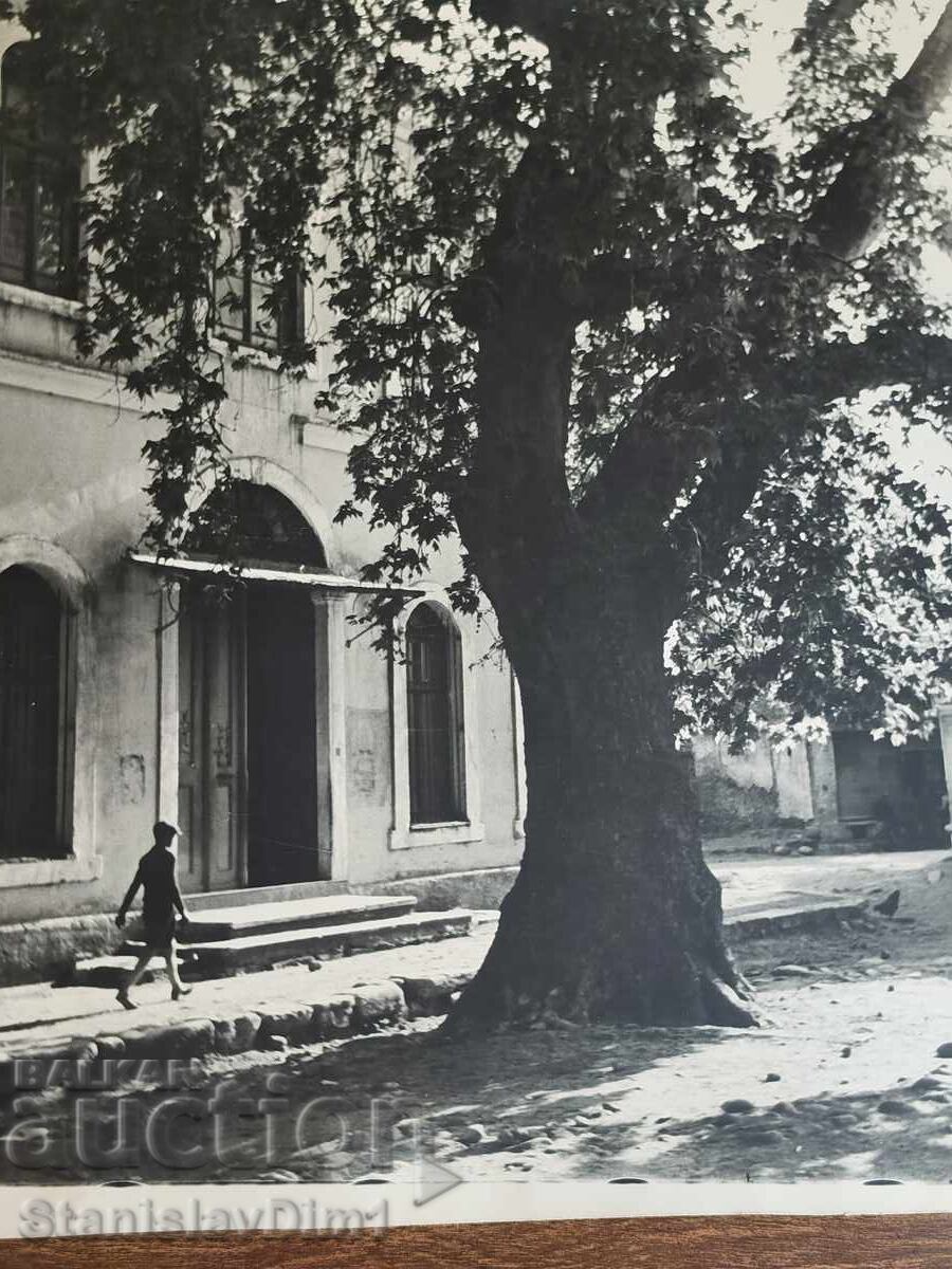 Fotografie de autor - Zahari Zhandov, Regatul Bulgariei cu preț € 50.00 | 97.79 BGN