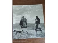 Fotografie de autor - Zahari Zhandov, Regatul Bulgariei
