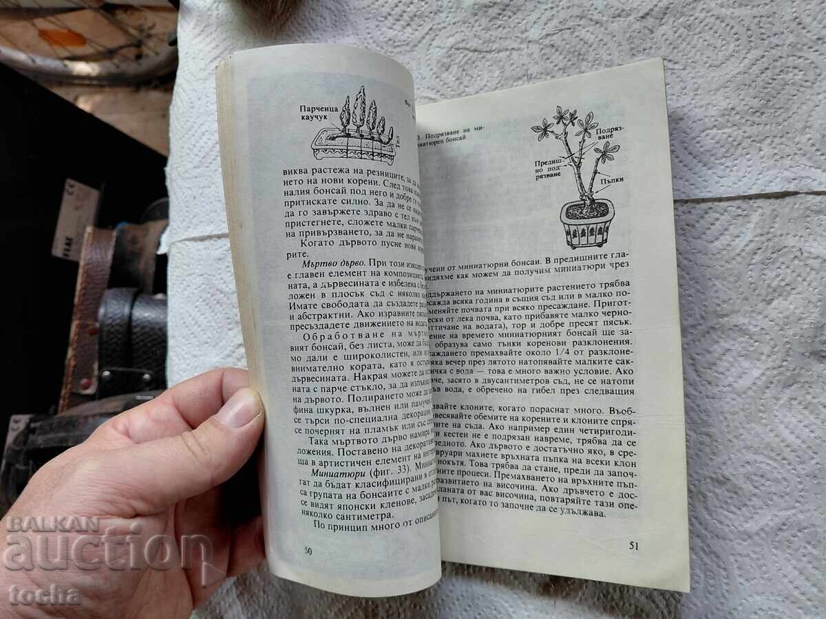 Licitație Plante, lot