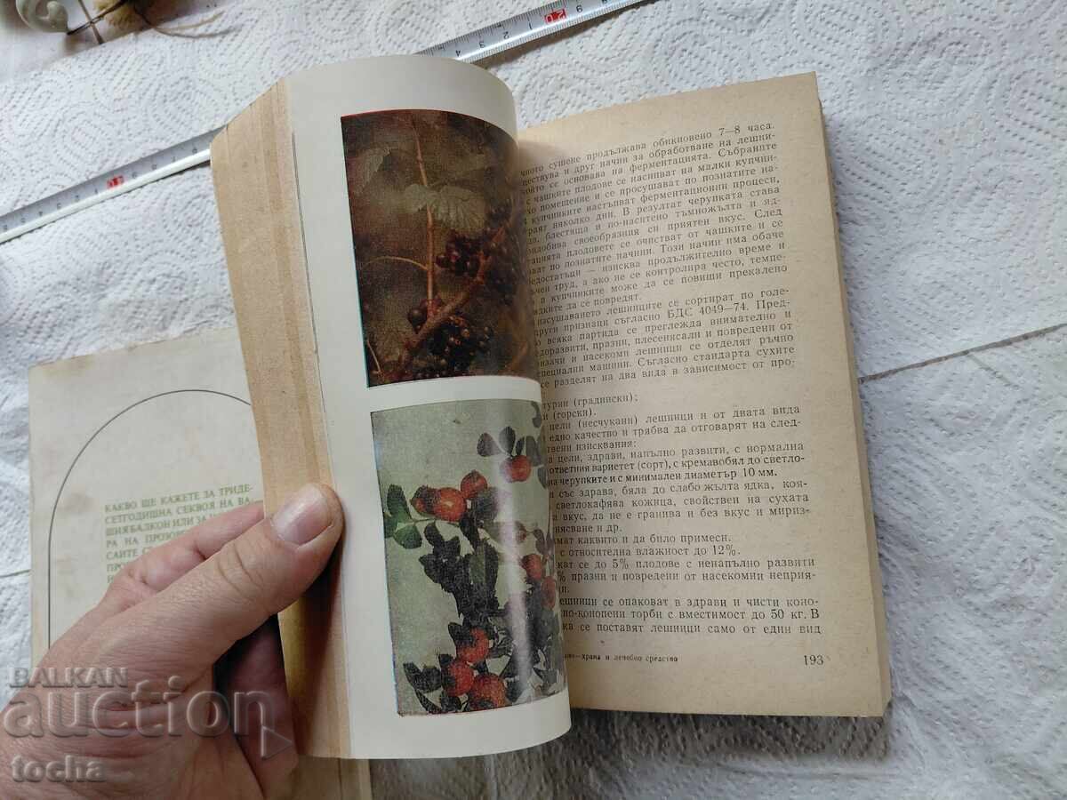 Livrarea Plante, lot