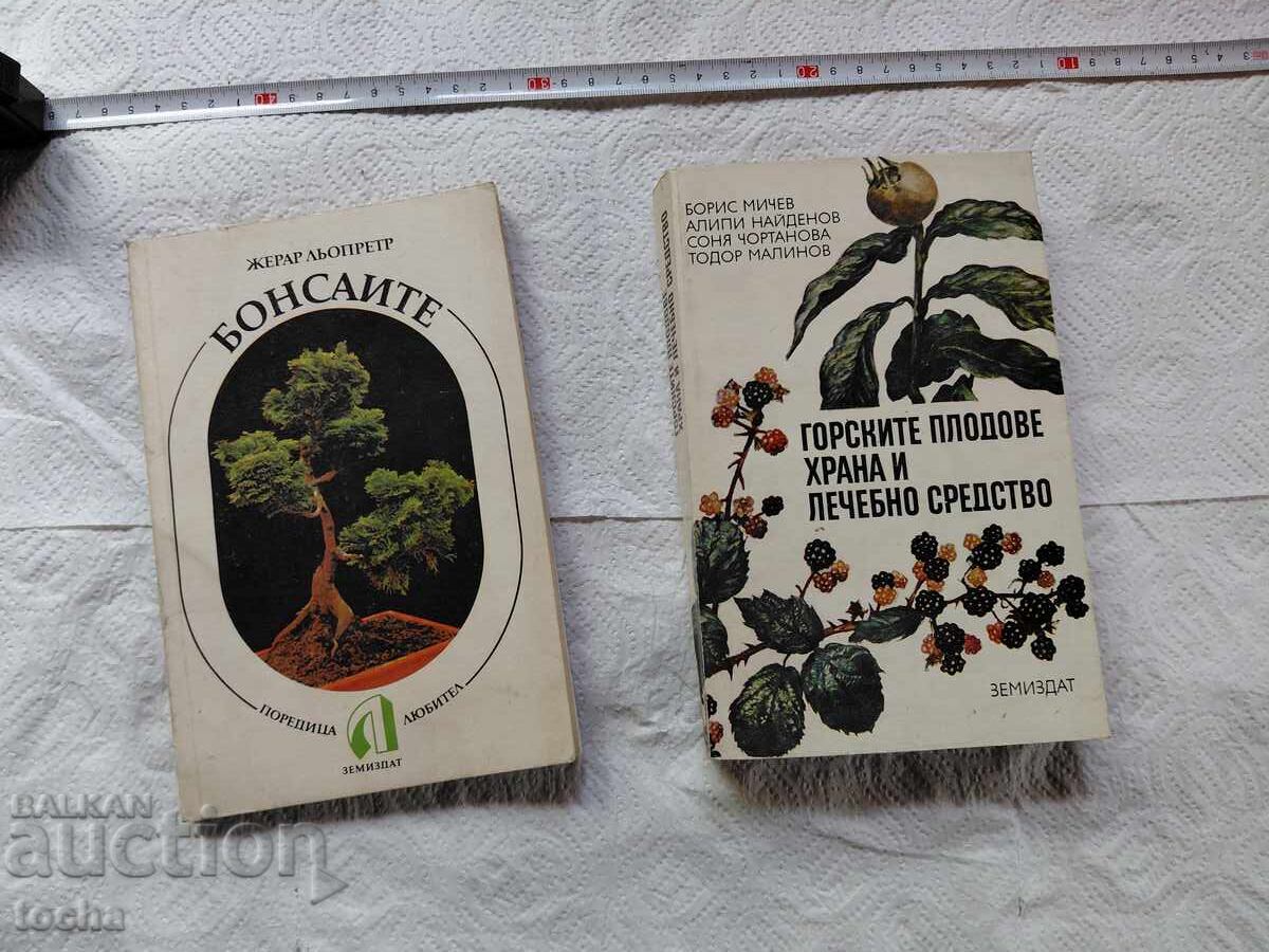 Plante, lot