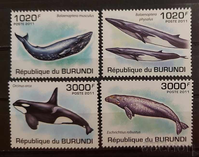 Burundi 2011 Faună/Animale/Pești 8 € MNH