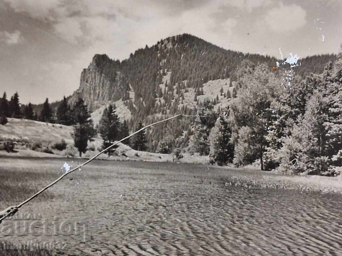 Auction  Photo postcard Smolyan 1960 General view