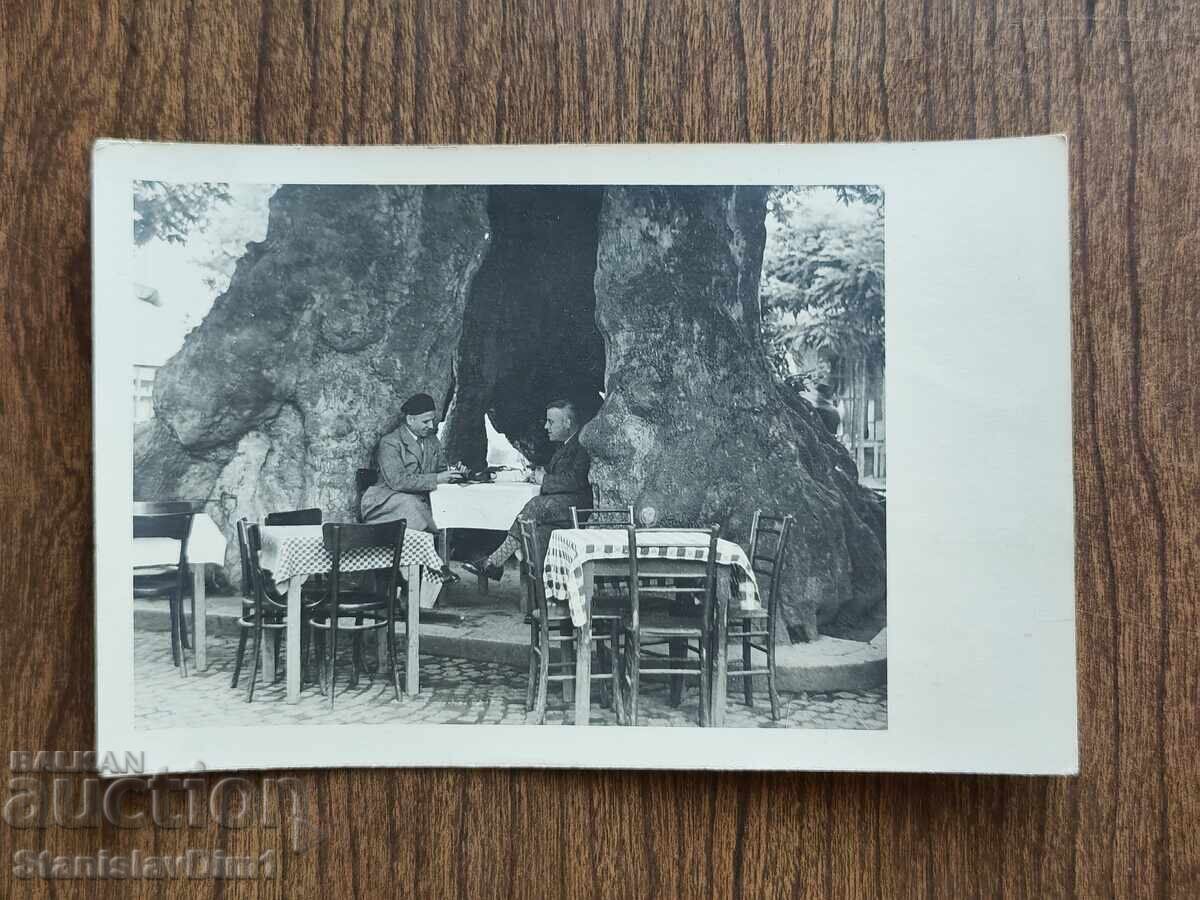Old photo Kingdom of Bulgaria - Ohrid