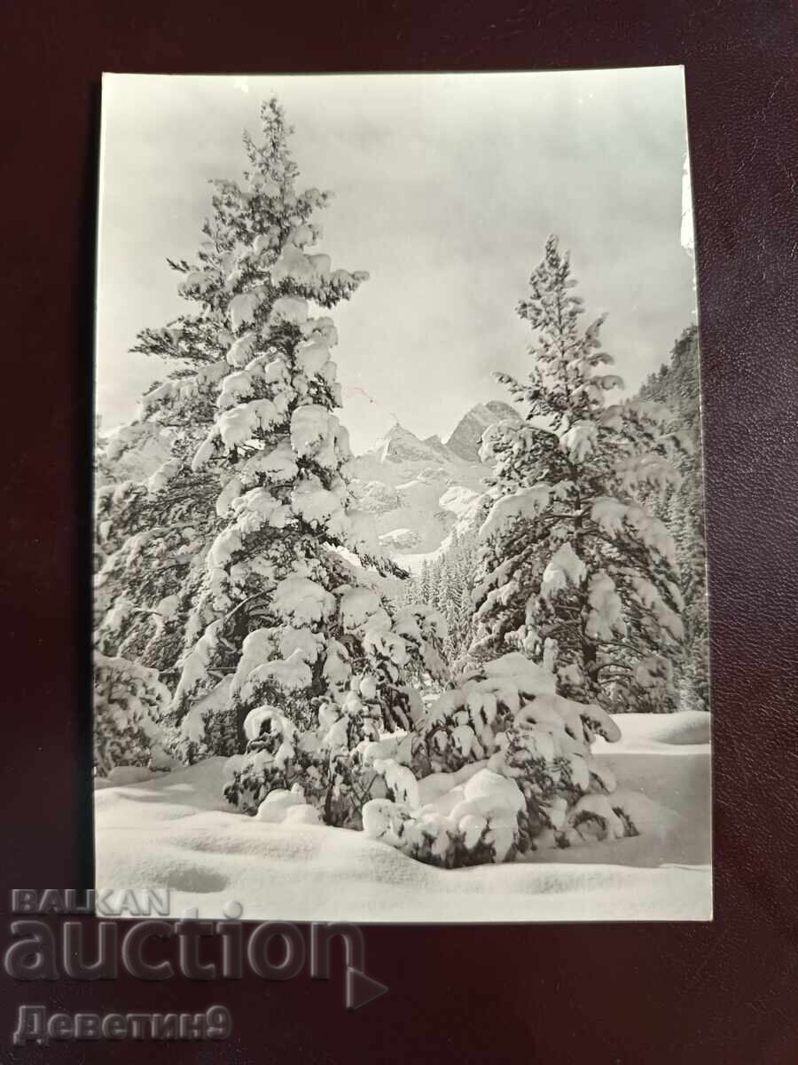 Bulgaria - DI "Septemvri" 1978
