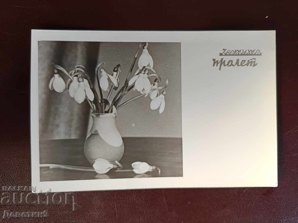 Честита пролет 1966 г. Честита пролет 1966 г.