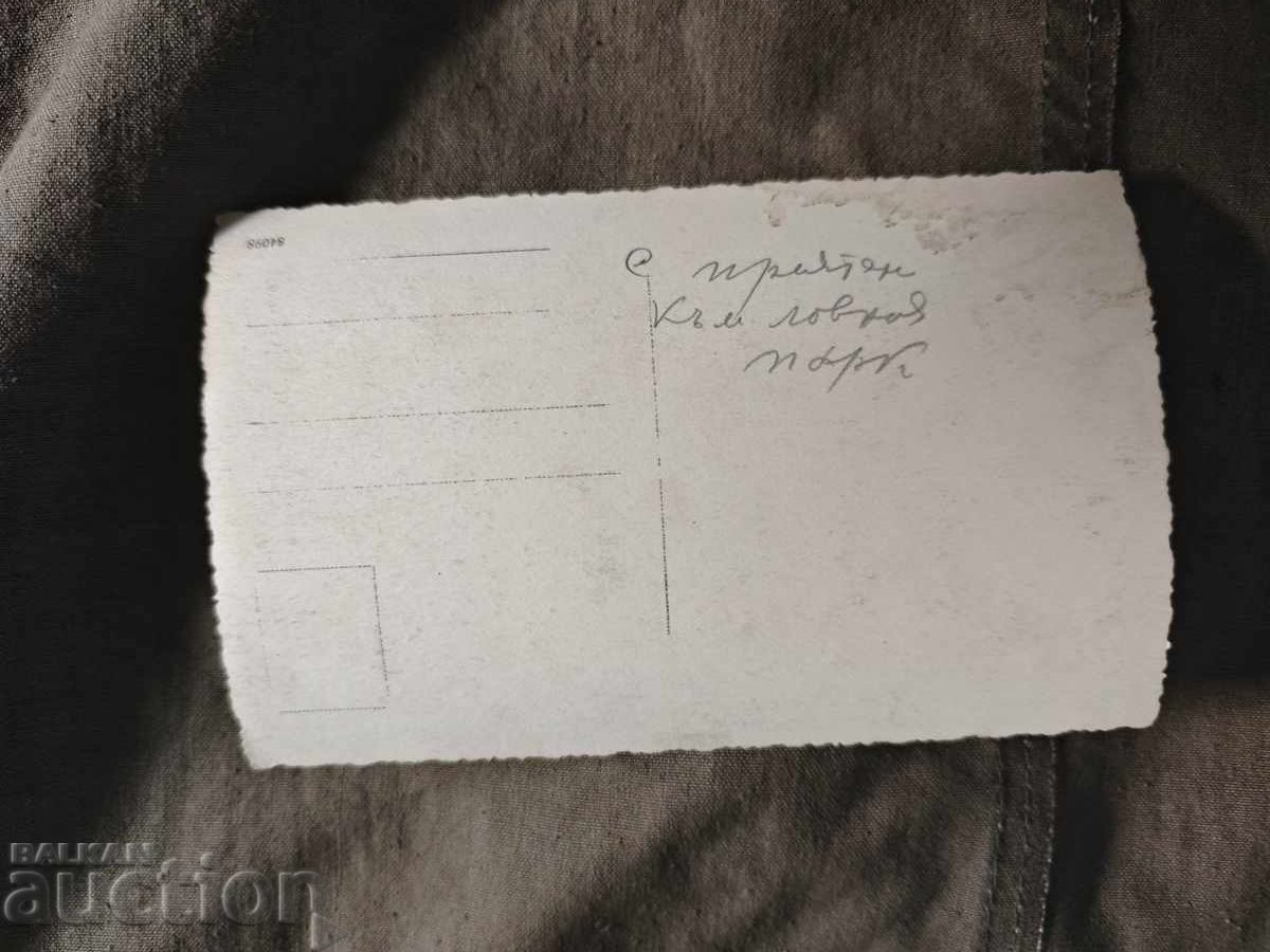 Cu prietenii spre Parcul de Vânătoare cu preț € 80.00 | 156.47 BGN Cu prietenii spre Parcul de Vânătoare cu preț € 80.00 | 156.47 BGN