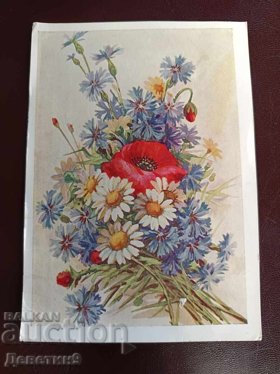 Carte poștală - URSS 1960