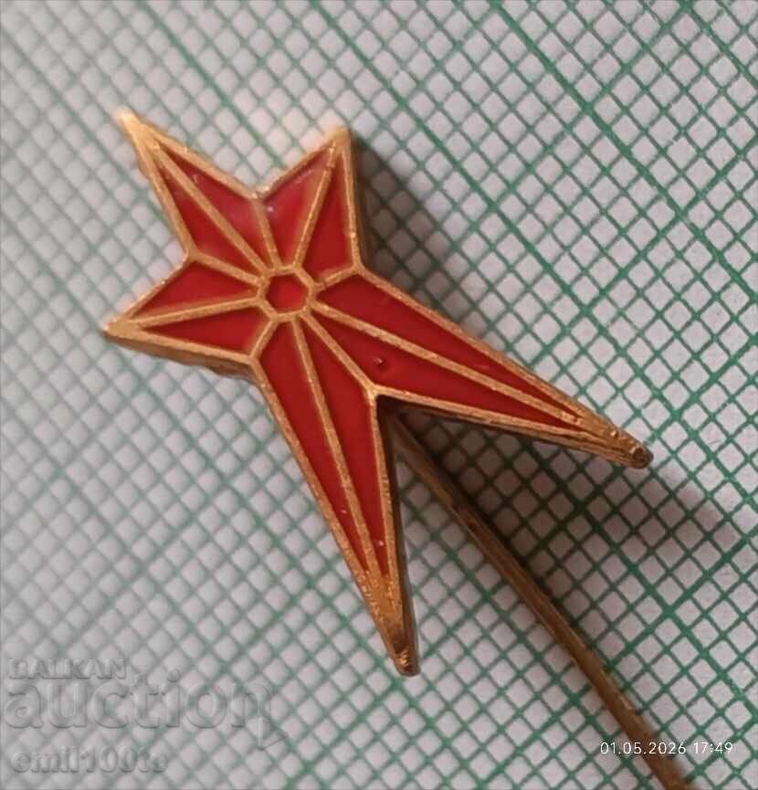 Значка- Петолъчка с цена € 1.50 | 2.93 лв.