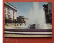 Sofia