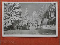 Borovets iarna
