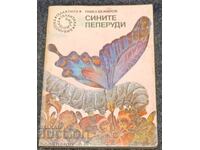 17. Pavel Vejinov: Fluturii albaștri