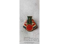 Atlanta 1996 Olympic Games McDonald's Pin