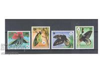 Papua New Guinea - Butterflies - WWF