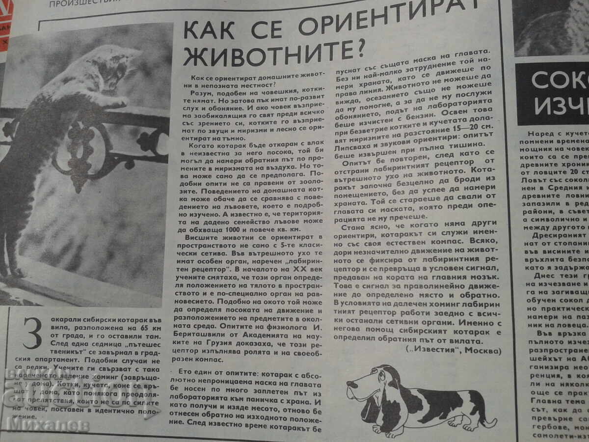 Livrarea reviste BTA Paralele și Otechestvo