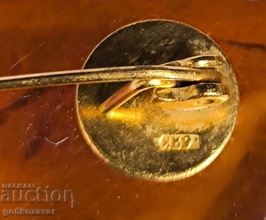 Broșă rusească URSS din chihlimbar și placată cu aur ! - 5