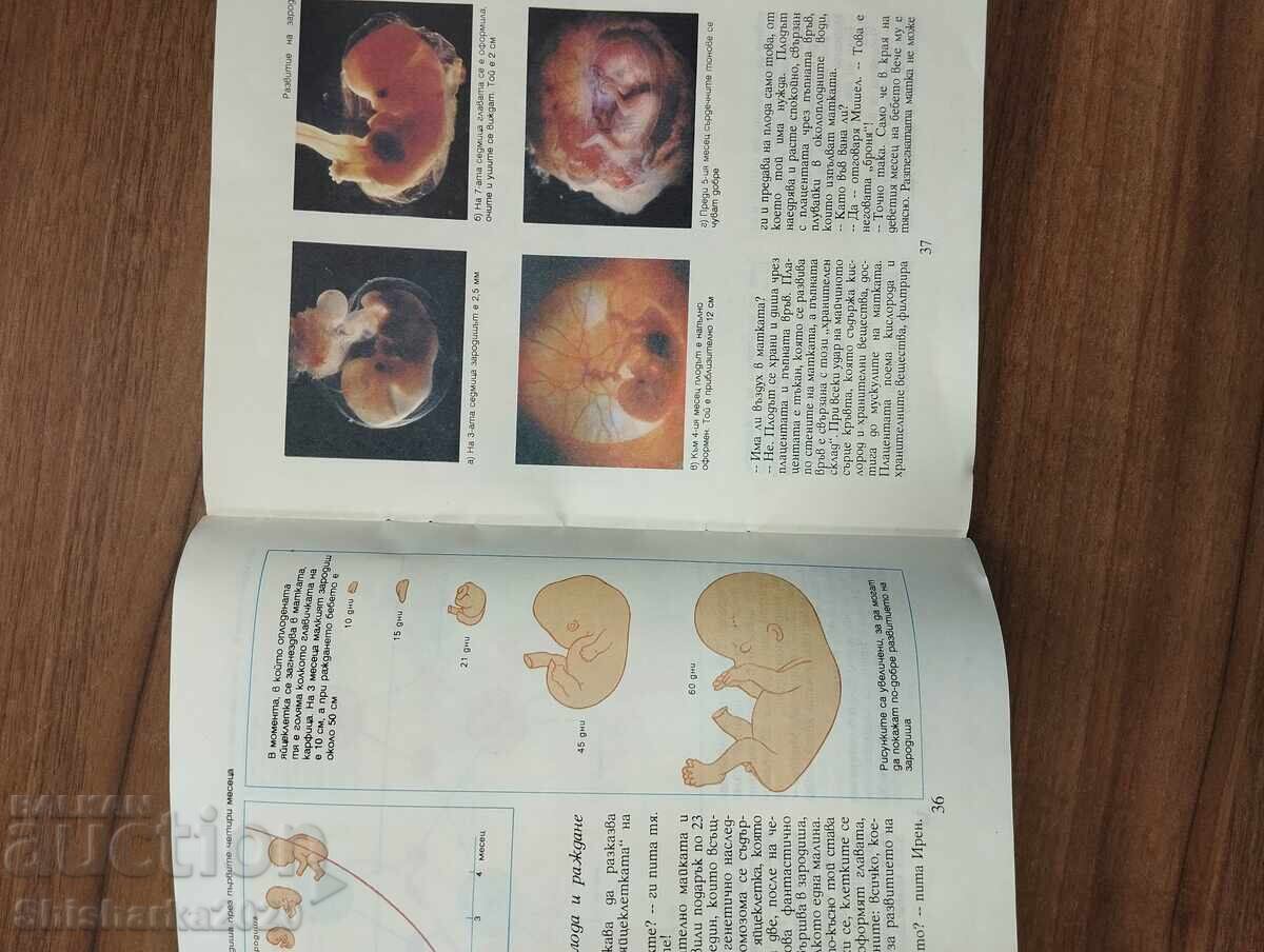 Viața sexuală 10 - 13 - 5