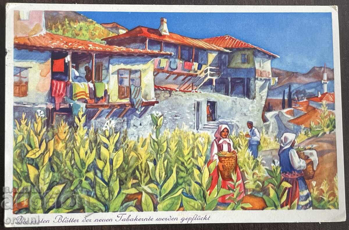 5783 Tsarstvo Bŭlgariya Melnik sushene na tyutyun 1937g