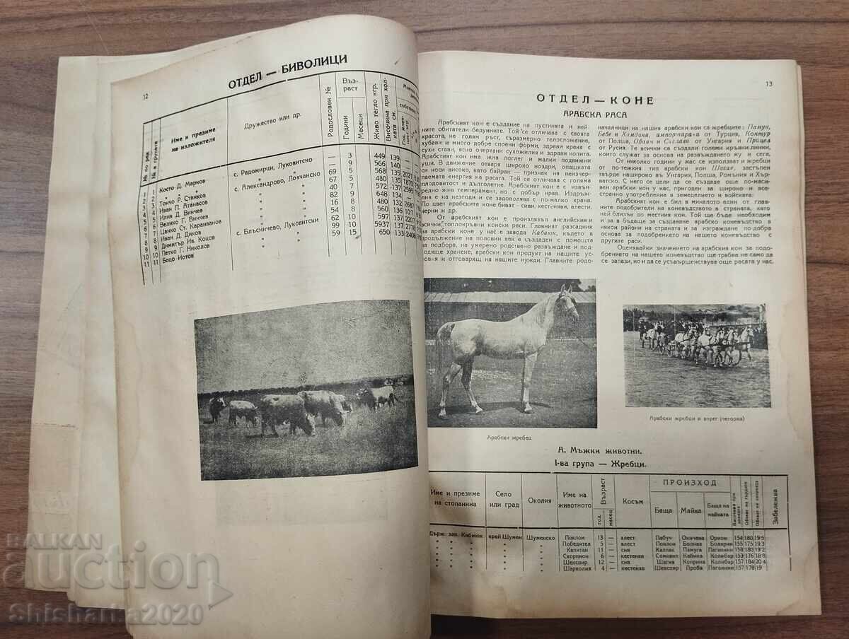 Delivery of Rare! NATIONAL LIVESTOCK EXHIBITION 1946 PLEVEN