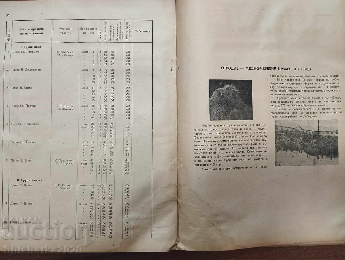 Rare! NATIONAL LIVESTOCK EXHIBITION 1946 PLEVEN - 5