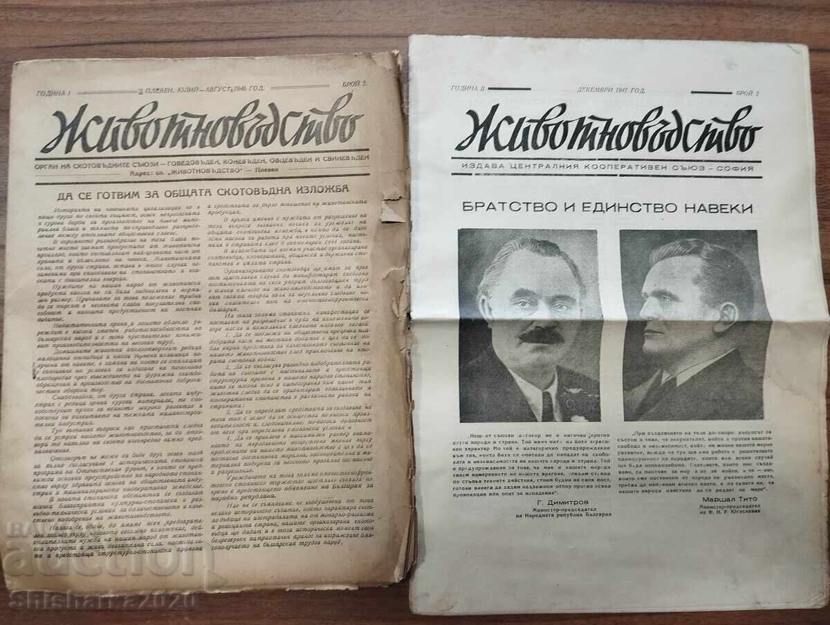 Rare! NATIONAL LIVESTOCK EXHIBITION 1946 PLEVEN - 7