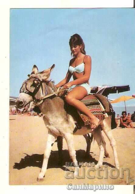 Card Bulgaria Sunny Beach Maiden pe un măgar**