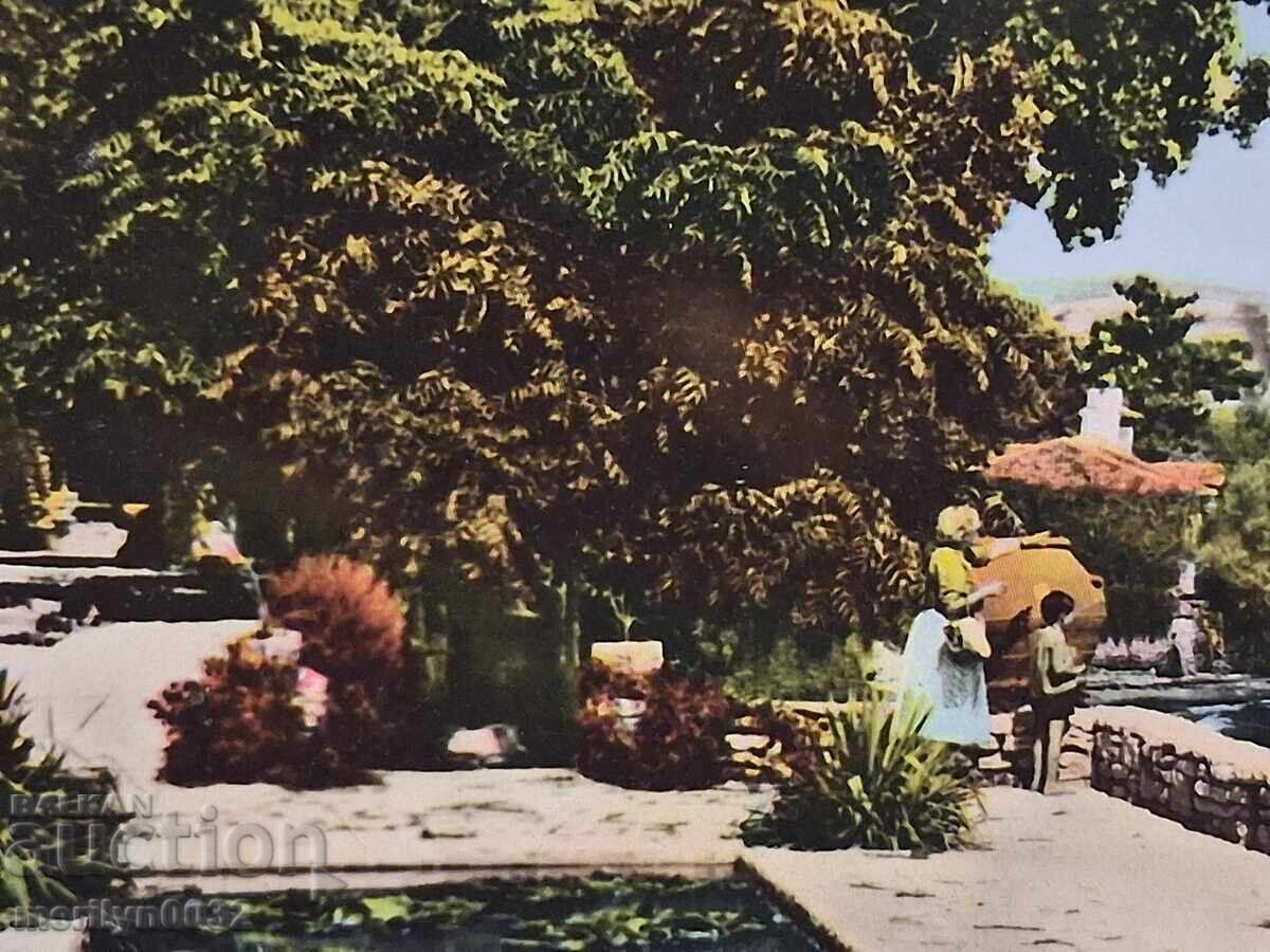 Livrarea Fotografie carte poștală Balcic 1960