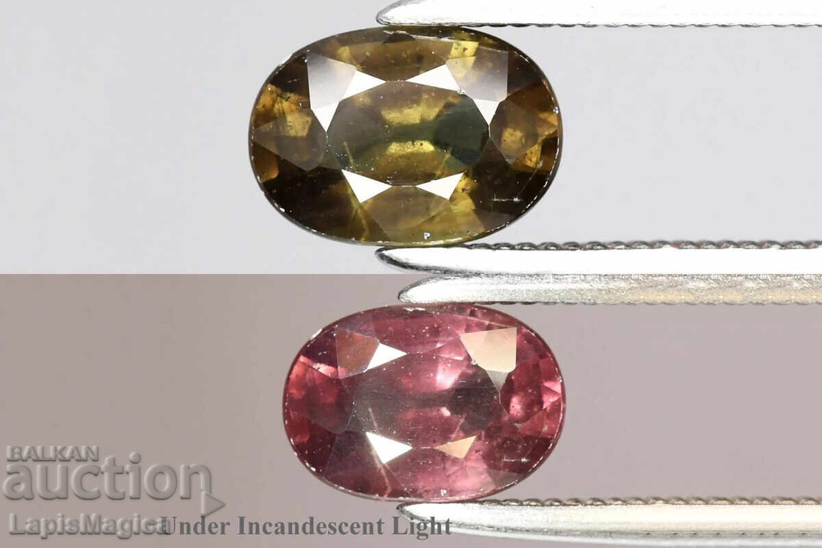 Granat natural cu schimbarea culorii 0.99ct 6.8x4.8mm oval Granat natural cu schimbarea culorii 0.99ct 6.8x4.8mm oval