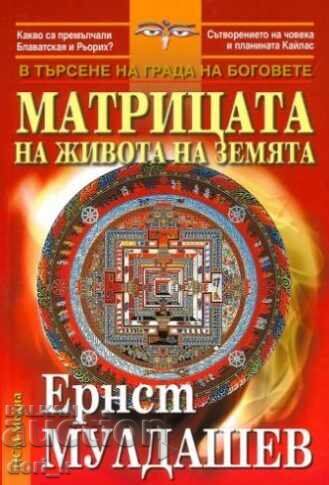 Matricea vieții pe Pământ