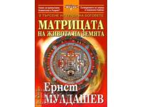 Το πλέγμα της ζωής στη Γη