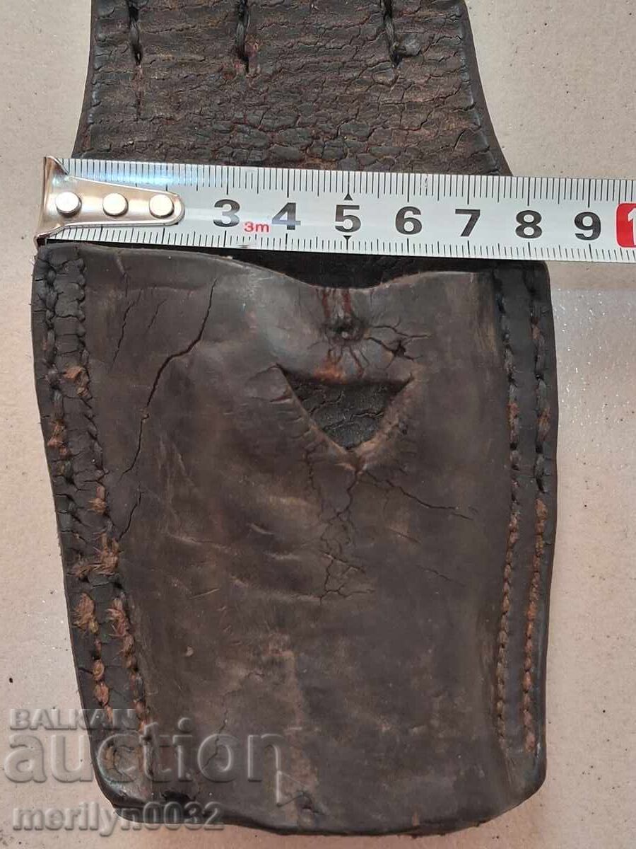 Câine de vânătoare pentru rusești, francezi, brichete teckel - 5