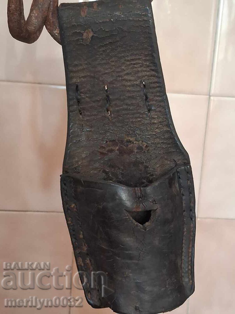 Câine de vânătoare pentru rusești, francezi, brichete teckel - 7