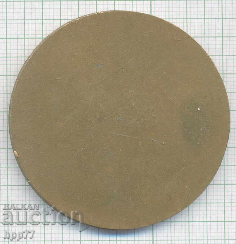 Rare commemorative plaque Orienteering Friendship Cup 1984 with price € 11.00 | 21.51 BGN
