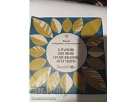 disc mic VTM 5985 Tineri interpreți de estradă