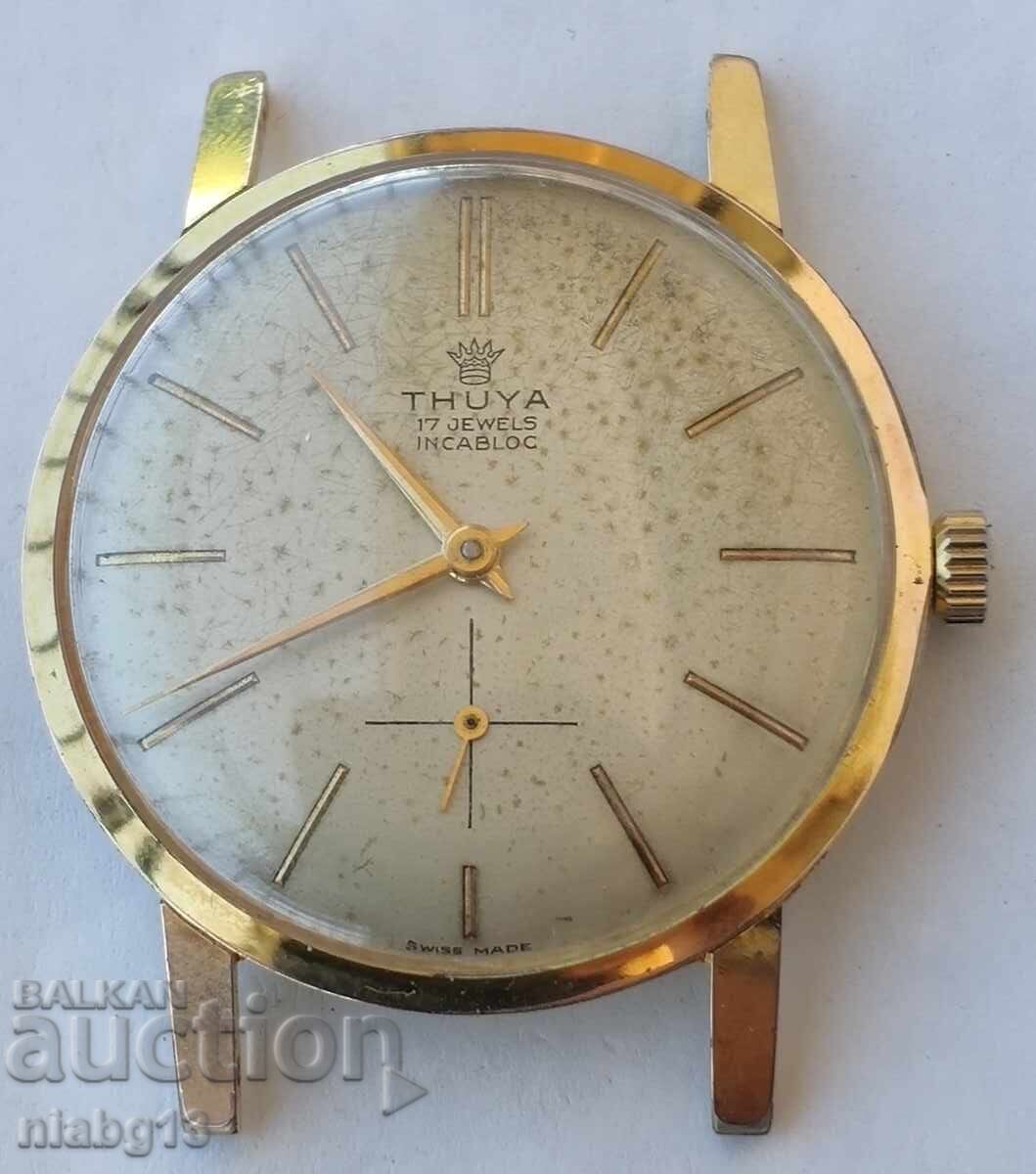 Θούγια με τιμή € 35.00 | 68.45 BGN