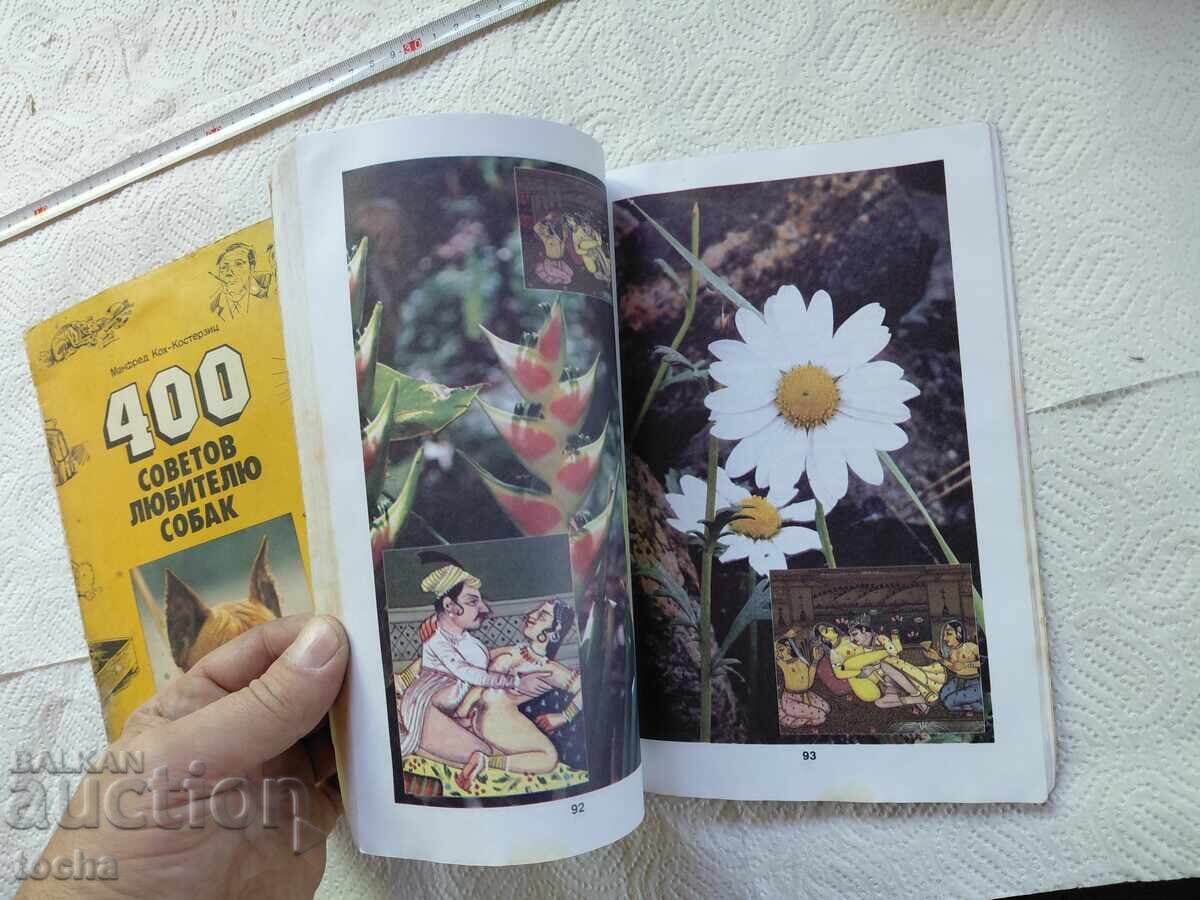 Licitație Câte ceva pentru fiecare, pentru iubitorii de câini, lot