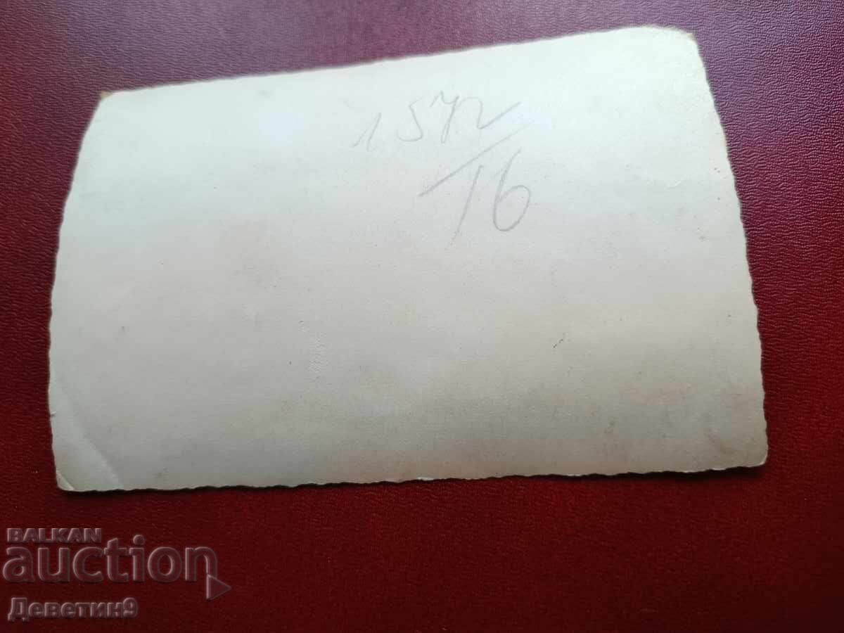 Гроздобер (В. Търновско) с цена € 3.60 | 7.04 лв.