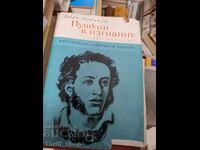 Pushkin in Exile by Ivan Novikov