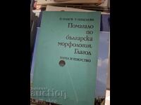 Помагало по българска морфология Глагол