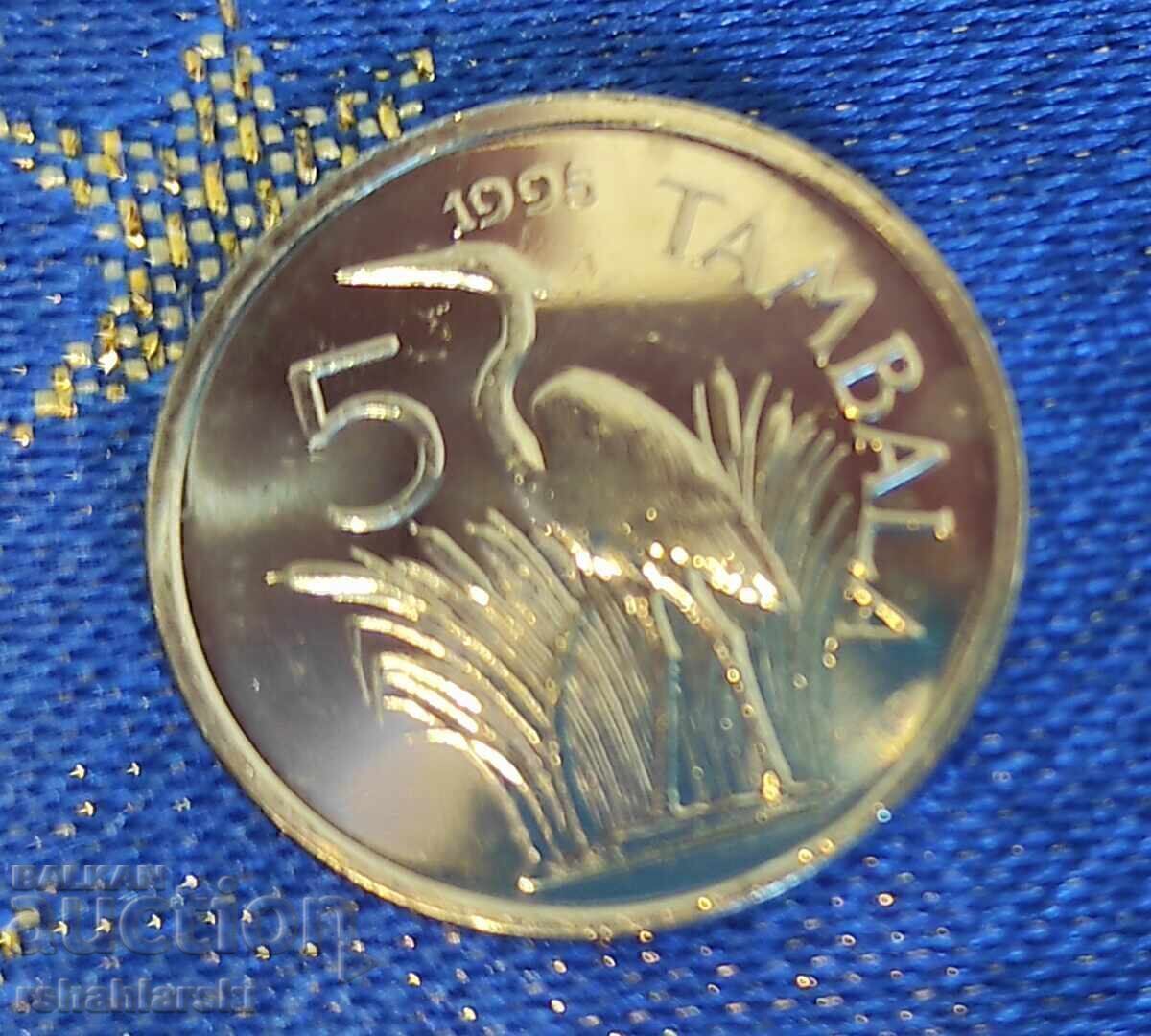 Νόμισμα Μαλάουι 5 tambali, 1995 Νόμισμα Μαλάουι 5 tambali, 1995