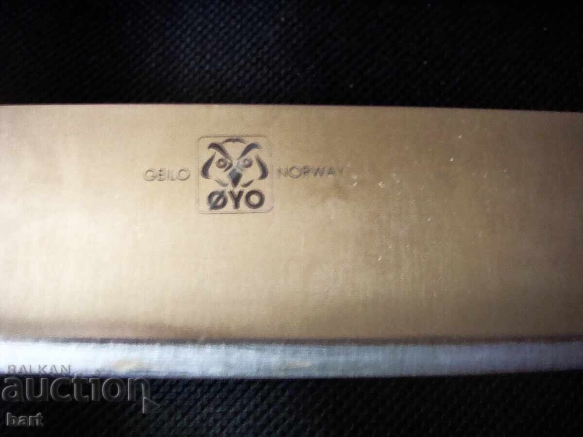 Livrarea „Geilo OYO” - Norvegia