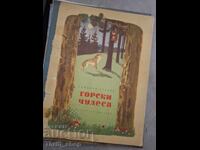 Forest Wonders